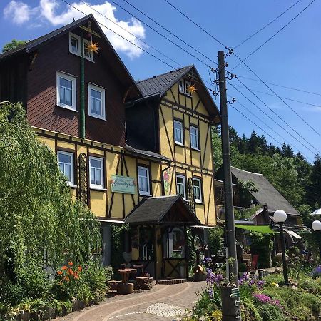 Apartamento Haus Rennsteigrose Steinheid Exterior foto
